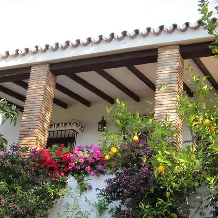 Apartment Sunny Hillside Casita In Guaro