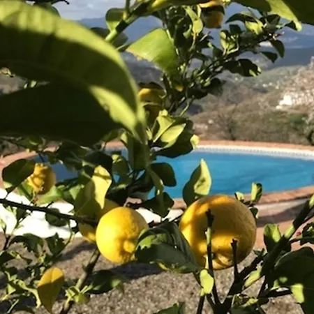 Sunny Hillside Casita In Guaro