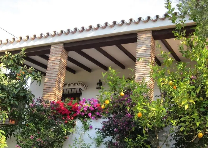 Appartamento Sunny Hillside Casita In Guaro